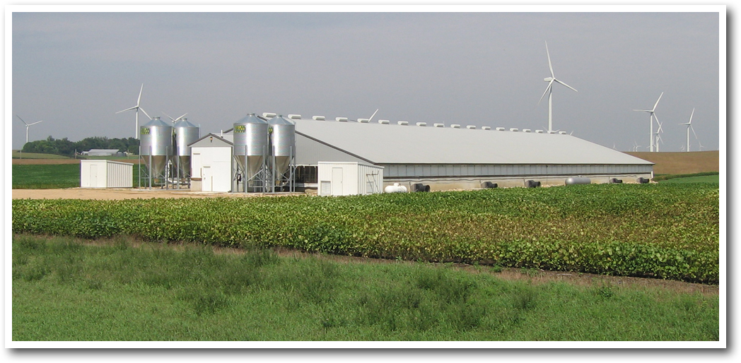 Viafield Feed Swine main page